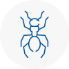 Ant Removals In Broughty Ferry