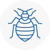Bed Bug Extermination In Broughty Ferry