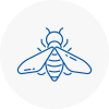 Bee Nest Removal Broughty Ferry