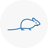 Mice Exterminators In Broughty Ferry