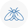 Moth Control Specialists In Broughty Ferry