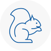 Broughty Ferry Rodent Removals